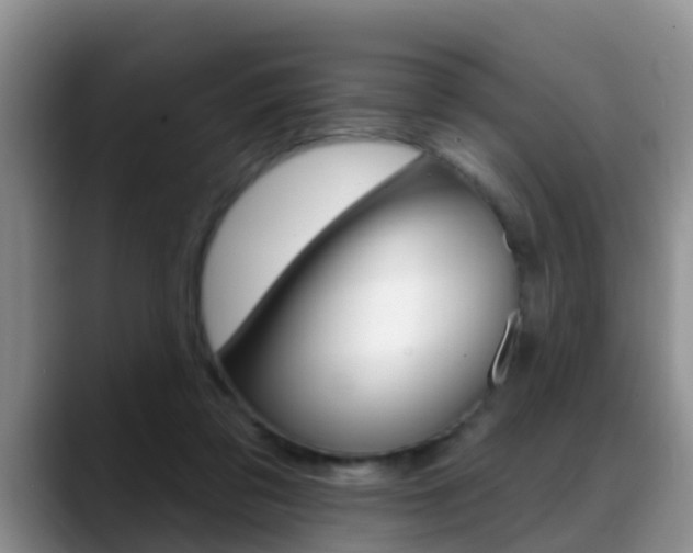 X0000089390309200706150936
