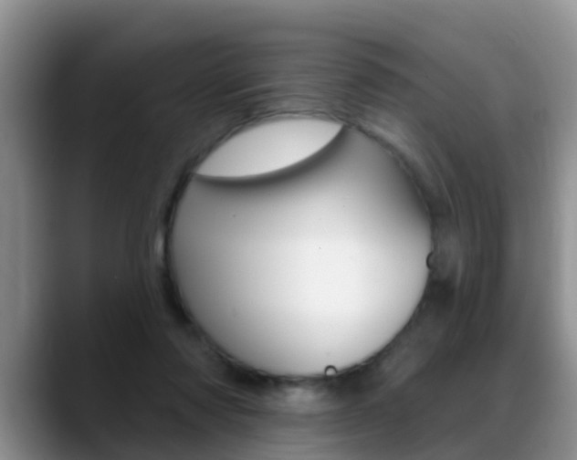 X0000089390310200706150936