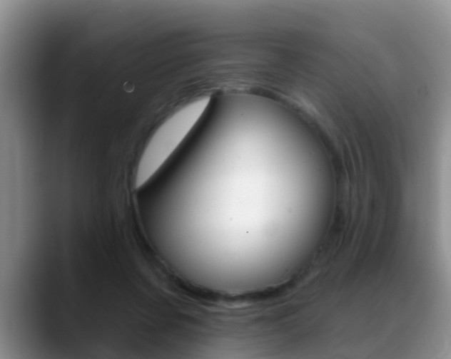 X0000089390311200706150936