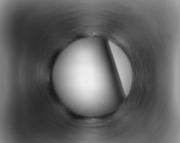 X0000089390315200706150936