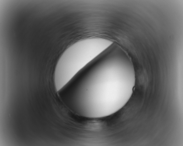 X0000089390316200706150936