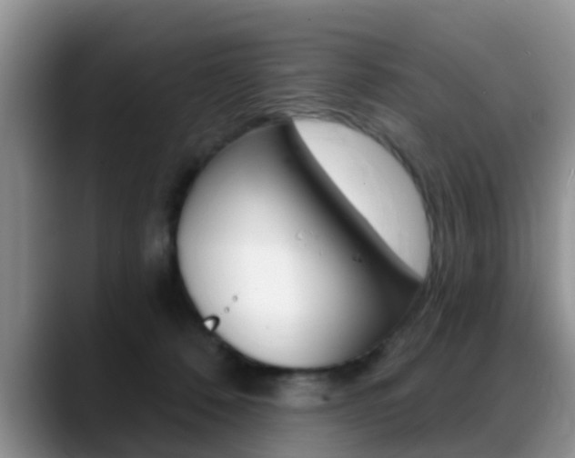 X0000089390320200706150936