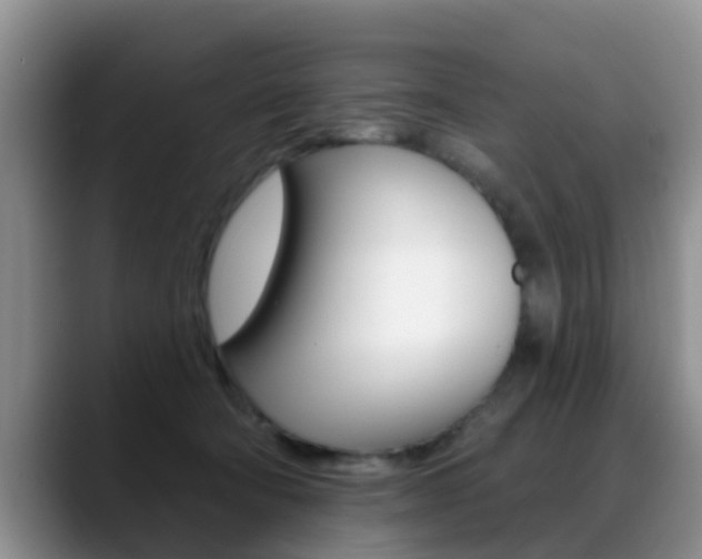 X0000089390322200706150936