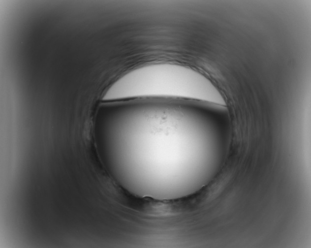 X0000089390325200706150936