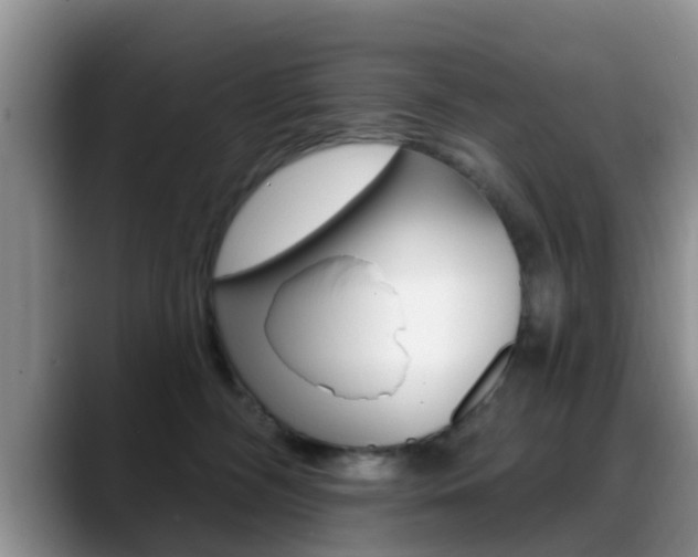 X0000089390326200706150936