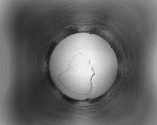 X0000089390327200706150936