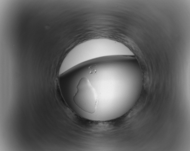 X0000089390329200706150936