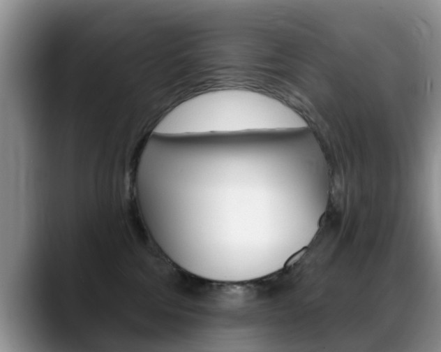 X0000089390330200706150936