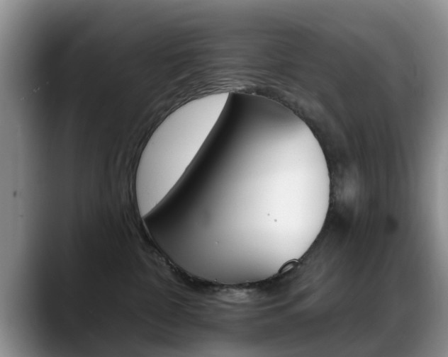 X0000089390332200706150936