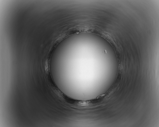 X0000089390335200706150936