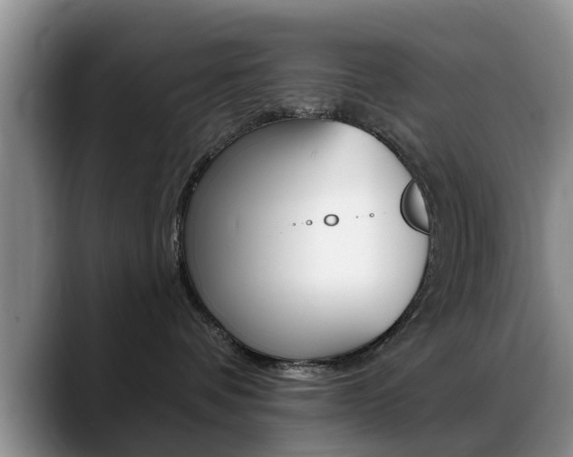 X0000089390336200706150936