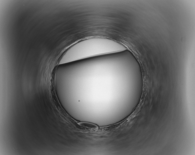 X0000089390338200706150935
