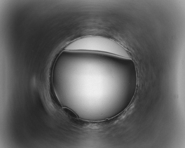 X0000089390341200706150936