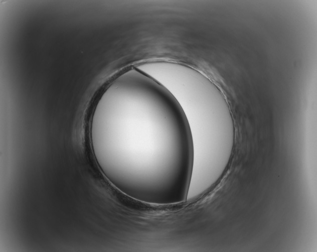 X0000089390344200706150936