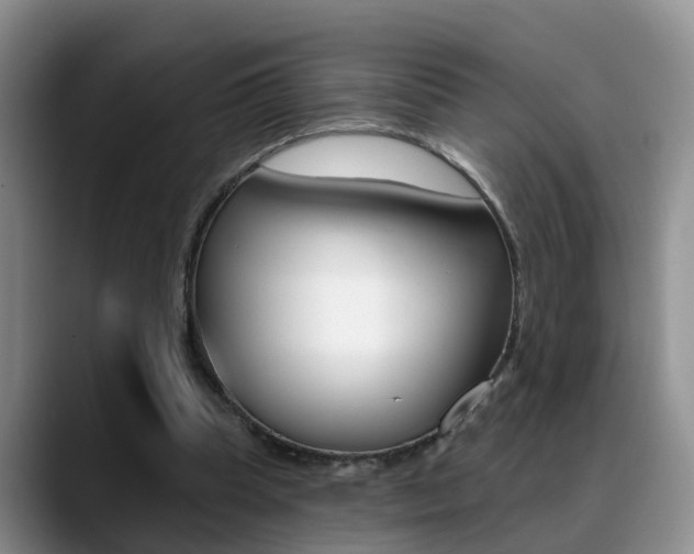 X0000089390345200706150936