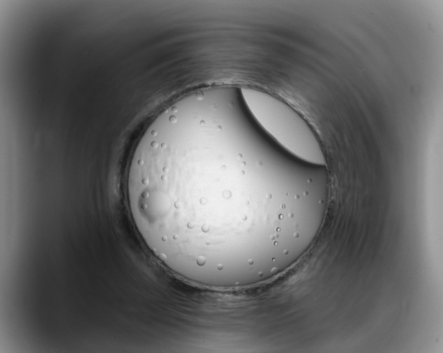 X0000089390347200706150936