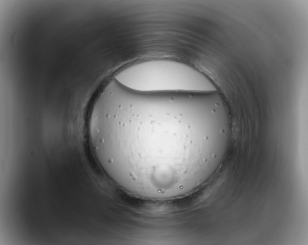 X0000089390351200706150936
