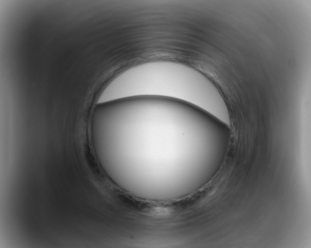 X0000089390352200706150936