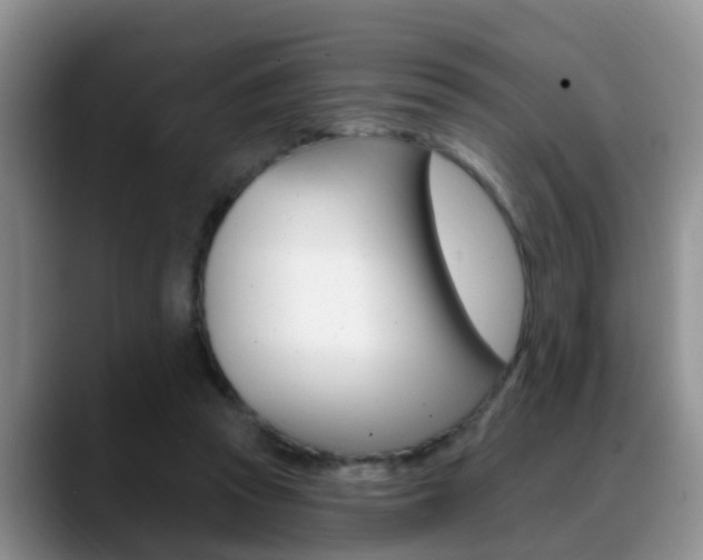 X0000089390353200706150936
