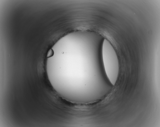 X0000089390354200706150936