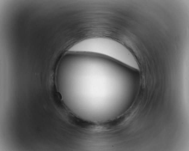 X0000089390356200706150936