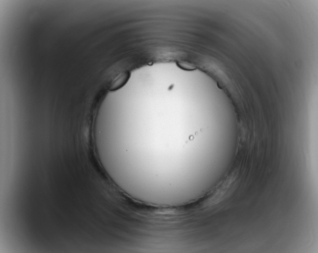 X0000089390357200706150936