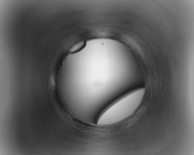 X0000089390358200706150936