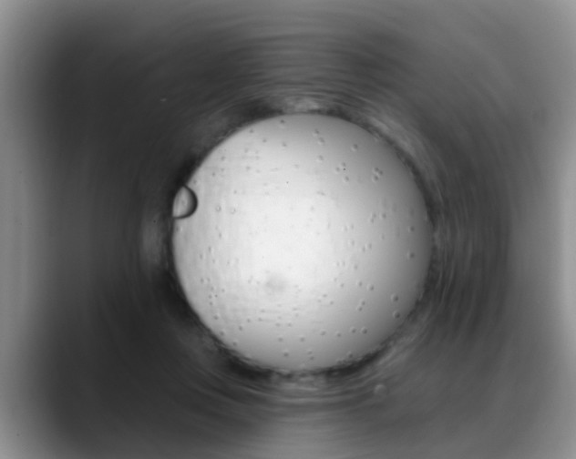 X0000089390359200706150936