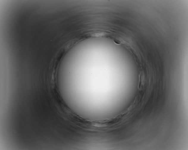 X0000089390360200706150936