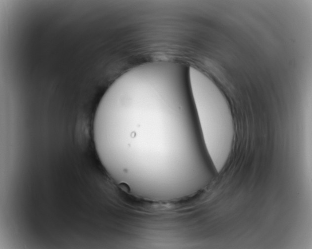X0000089390363200706150936
