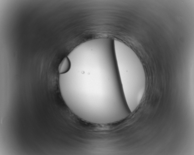 X0000089390369200706150936