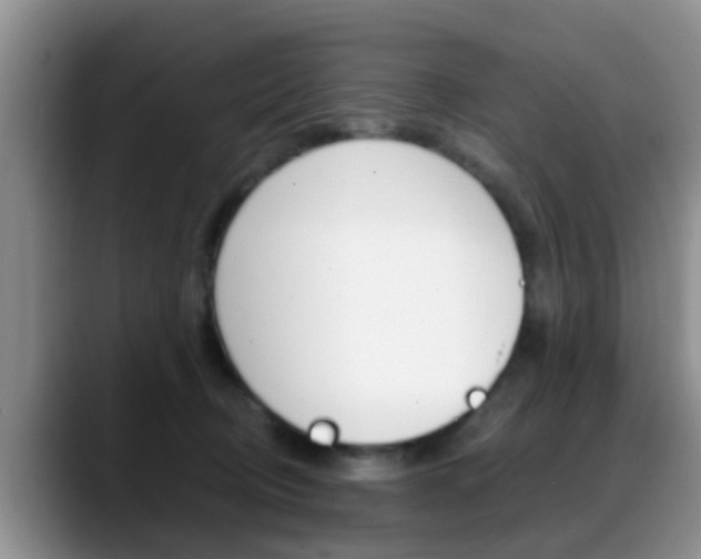 X0000089390370200706150936