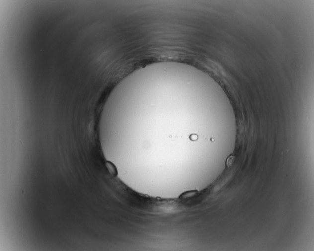X0000089390377200706150936