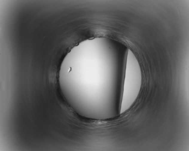 X0000089390379200706150936