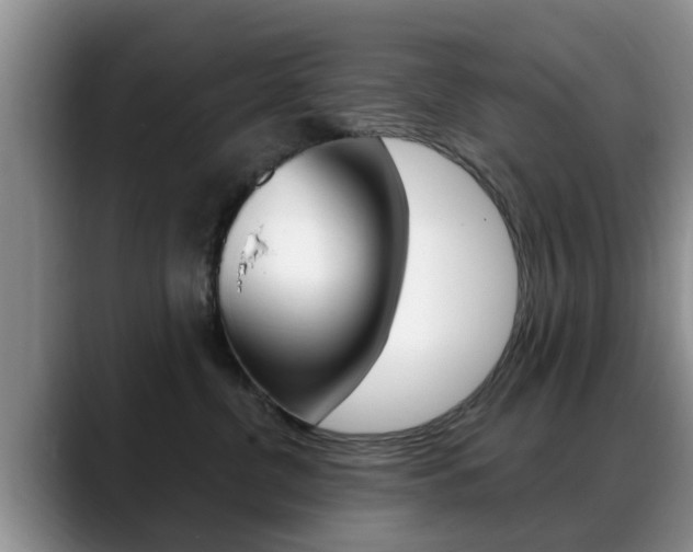 X0000089390380200706150936