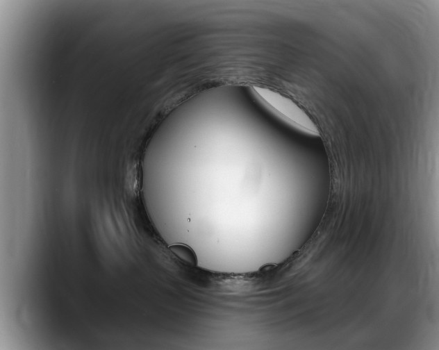 X0000089390383200706150936