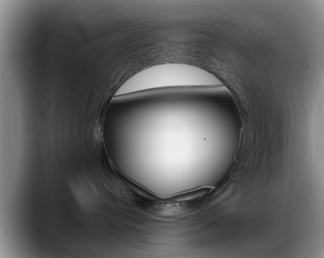 X0000089390384200706150936