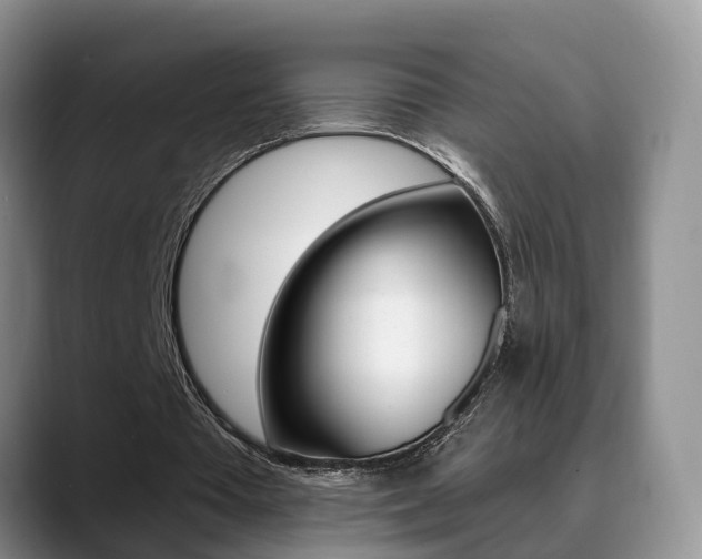 X0000089390385200706150935