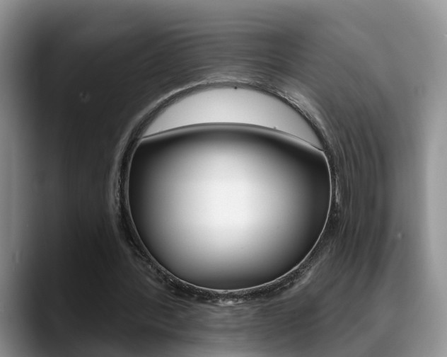 X0000089390388200706150935
