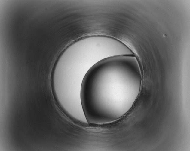X0000089390389200706150935