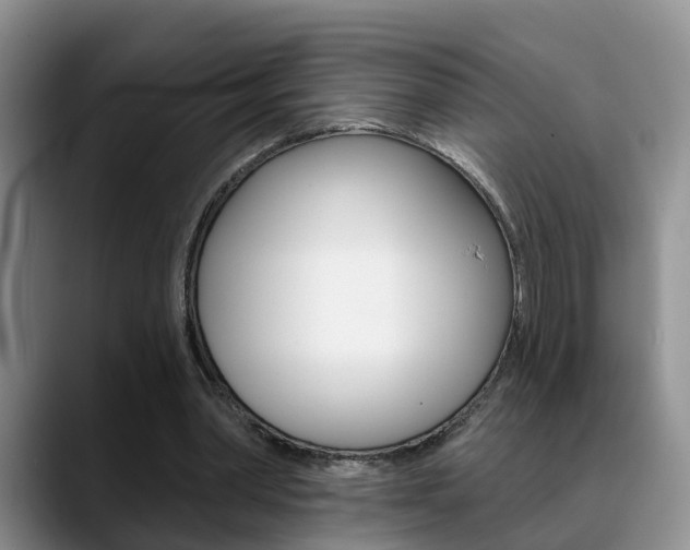 X0000089390390200706150935