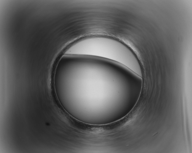 X0000089390391200706150935