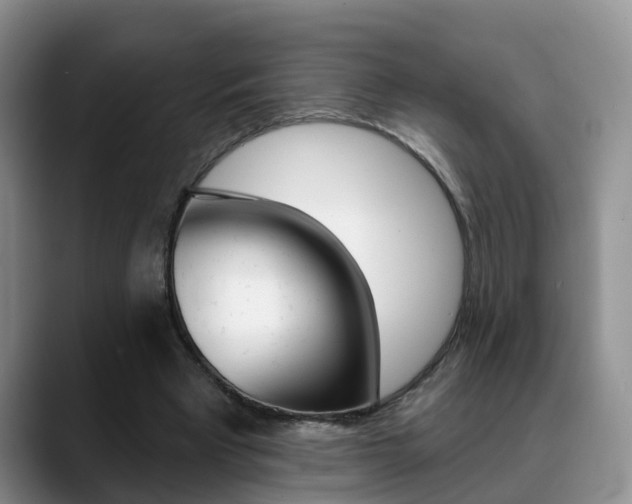 X0000089390393200706150935