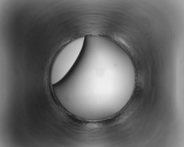X0000089390394200706150935