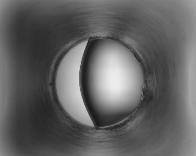 X0000089390395200706150935