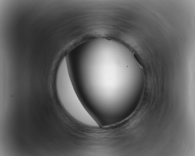 X0000089390399200706150935