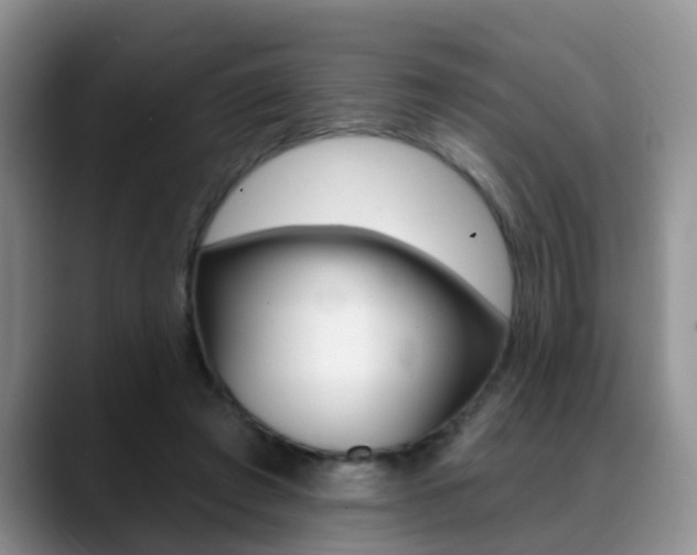 X0000089390401200706150935