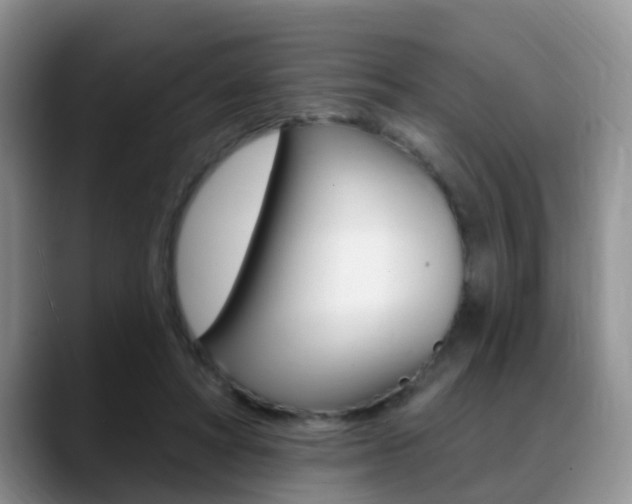 X0000089390402200706150935