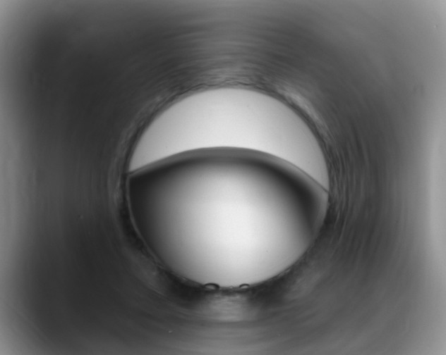 X0000089390403200706150935