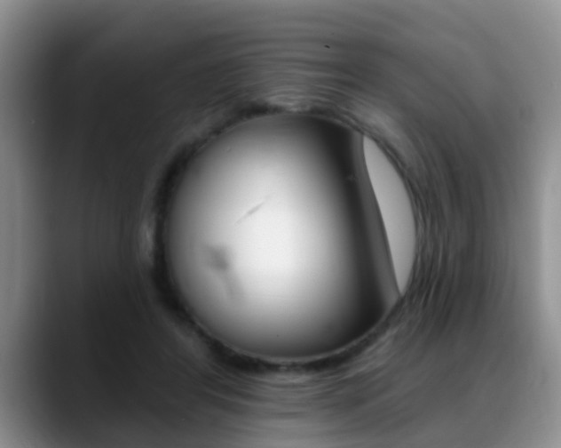 X0000089390404200706150935